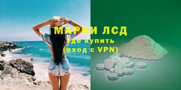 spice Богородск