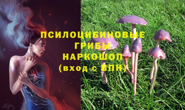 spice Богородск