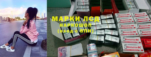 spice Богородск