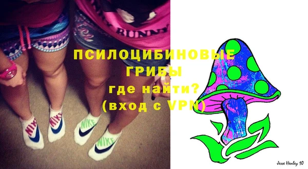 spice Богородск