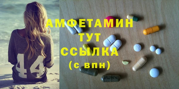 spice Богородск