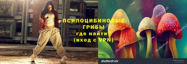 spice Богородск