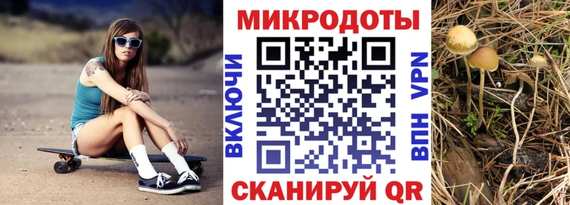Галлюциногенные грибы прущие грибы  Дальнегорск 